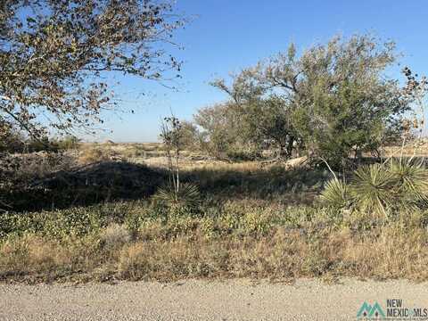 N Of 407 N Forty-Third Street, Artesia, NM 88210