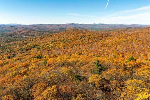 0 Forbes Mountain Road, Danbury, NH 03230