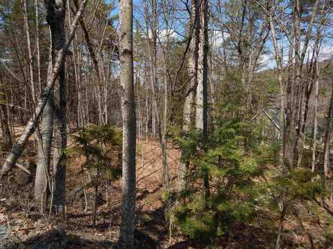 Lot 61 Hilltop Drive, Newbury, NH 03255