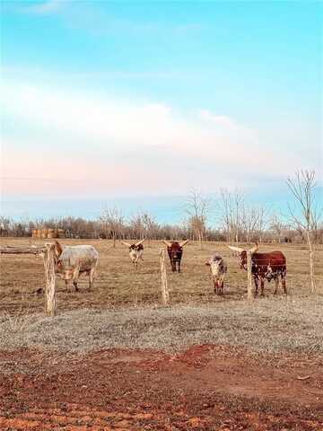 Vineyard Meadow Road, Norman, OK 73072