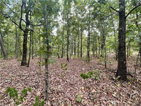 686 Woodland Hills Trail, Broken Bow, OK 74728