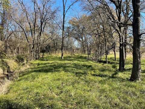 Tbd County Road 3528, Saltillo, TX 75478