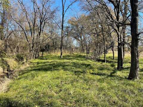 Tbd County Road 3528, Saltillo, TX 75478