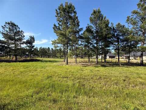 116 Faith Plantation Drive, Princeton, LA 71067