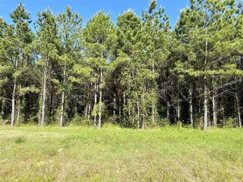 202 Chapel Creek Drive, Princeton, LA 71067