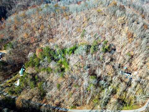 0 Damewood Hollow Rd, Luttrell, TN 37779