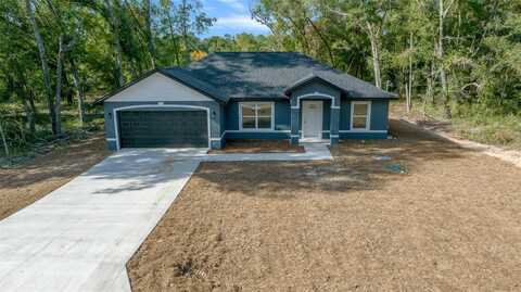 14 Guava Terrace Trace, Ocklawaha, FL 32179