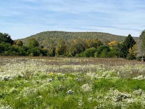 WP01 Chambers Rd, Big Flats, NY 14814