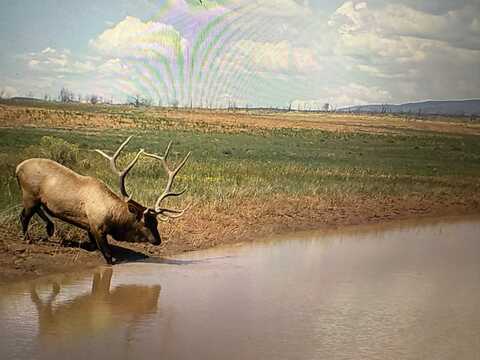 000 CR 116, Hesperus, CO 81326