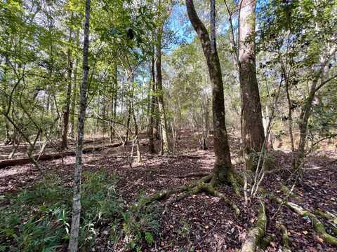 0 Laco Cooper Road, Wilmer, AL 36587