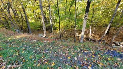 Lot 7 Decker Road, Bushkill, PA 18324