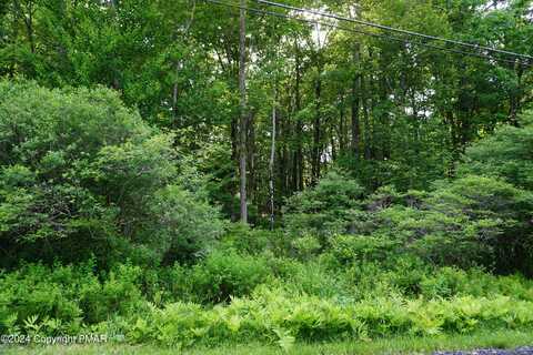 Wagner Way, Pocono Lake, PA 18347