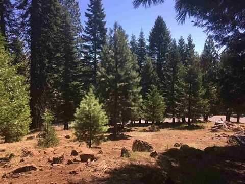 1019 Timber Ridge Road, Lake Almanor, CA 96137