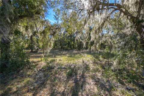 9930 W Pomegranate Street, Crystal River, FL 34428