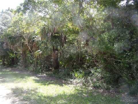 0 Azalee Avenue, Inglis, FL 34449