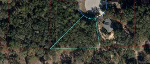 Tbd Deer Trail Circle, Bronson, FL 32621