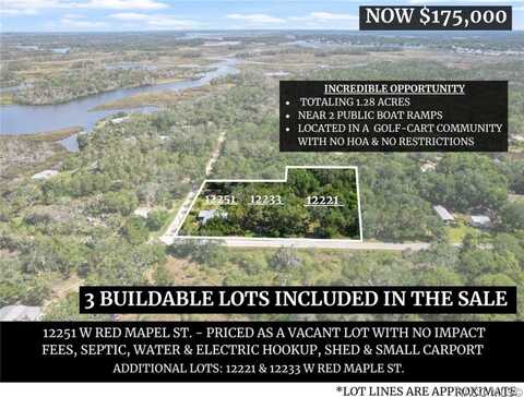 12251 W Red Maple Street, Homosassa, FL 34448