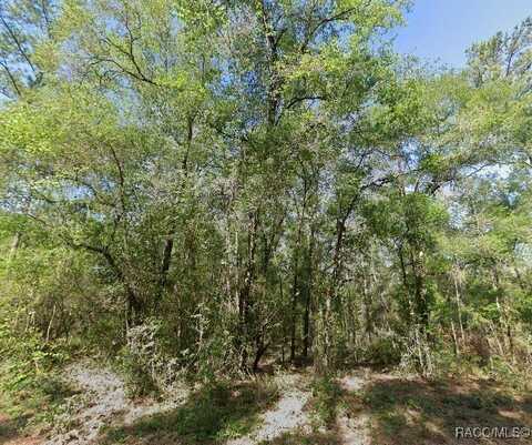 502 E Avondale Drive, Dunnellon, FL 34434