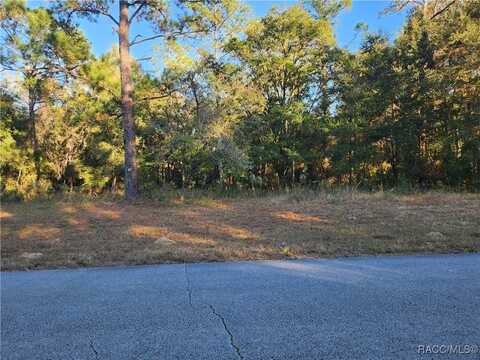 9155 N Alameda Drive, Citrus Springs, FL 34434