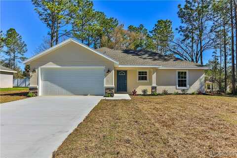 8713 N PARADISEA Drive, Citrus Springs, FL 34434