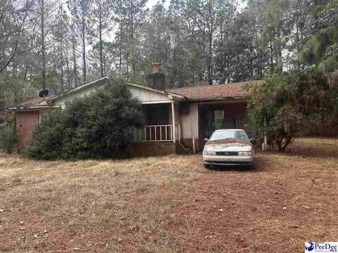 53 Drylog Ave, Kingstree, SC 29556