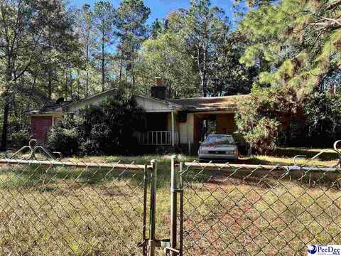 53 Drylog Ave, Kingstree, SC 29556