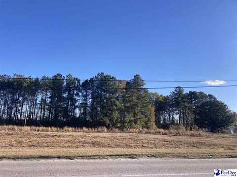 2630 S Highway 301, Dillon, SC 29536