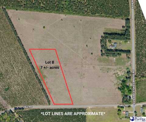 Lot B Hill Rd, Bishopville, SC 29010