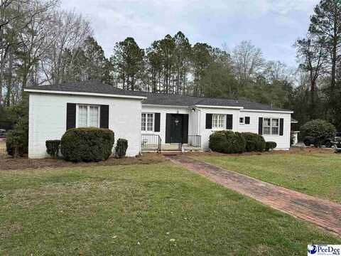 217 N Springville Rd, Darlington, SC 29540