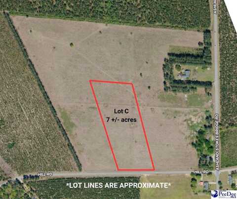 Lot C Hill Rd, Bishopville, SC 29010