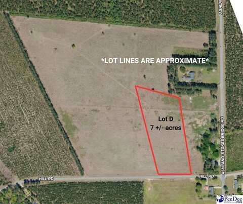 Lot D Hill Rd, Bishopville, SC 29010