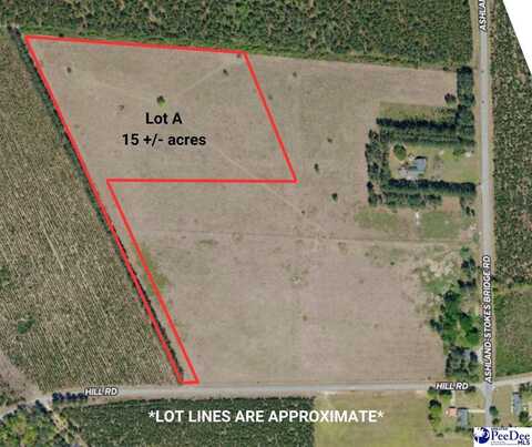 Lot A Hill Rd, Bishopville, SC 29010