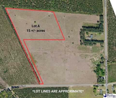 Lot A Hill Rd, Bishopville, SC 29010