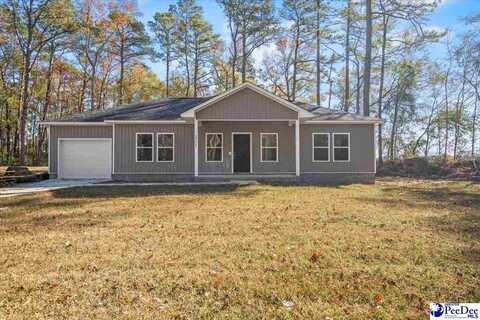 1771 Birch Drive, Hartsville, SC 29550