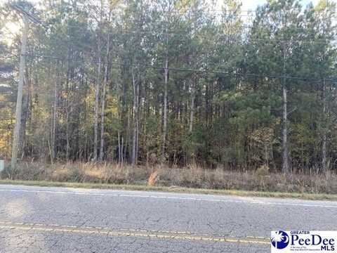 TBD Savannah Grove Rd., Effingham, SC 29541