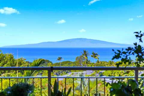 161 Wailea Ike Pl, Kihei, HI 96753