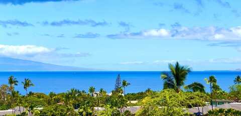 161 Wailea Ike Pl, Kihei, HI 96753
