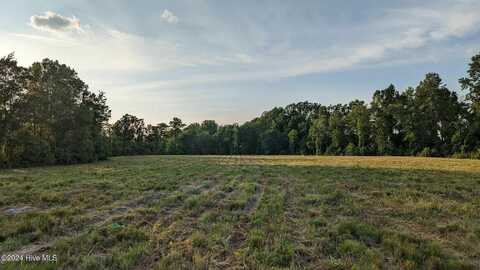 Lot 8 Nick Coley Road, Whitakers, NC 27891