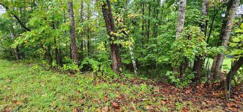 Lot 63 Circle View ST, Rocky Mount, VA 24151