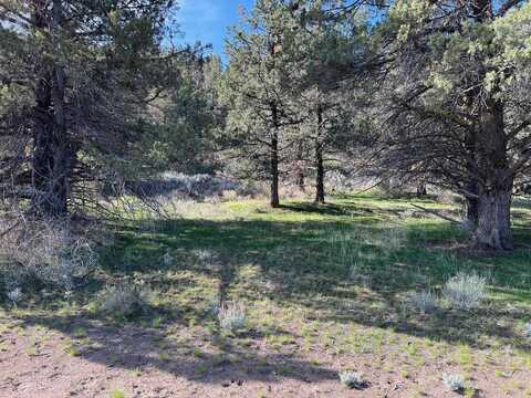 Unit 3 Lot 20 Silver Spur, Weed, CA 96094