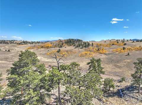 3431 DOG CHIEF TRAIL, Hartsel, CO 80449