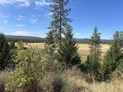 4256 231 Hwy, Springdale, WA 99173