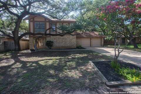 14022 OLD TREE ST, San Antonio, TX 78247