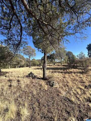 Simmens Ranch Road, Arenas Valley, NM 88061