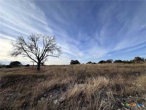 undefined, Oglesby, TX 76561