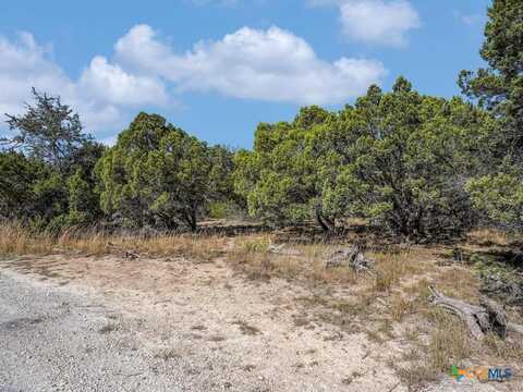 104 River Rapids Loop, Wimberley, TX 78676