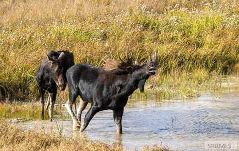 Tbd Hwy 77, Malta, ID 83342