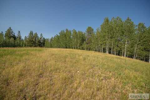 Lot 11 Potpourri Drive, Ashton, ID 83420