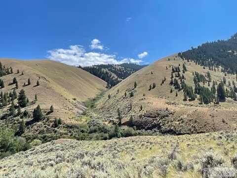 Tbd Agency Creek Road, Tendoy, ID 83468