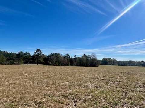 00 Ginn Road, Tylertown, MS 39667